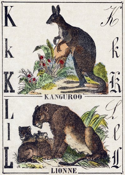 K L betű; K Kanguroo; Az Oroszlán. Metszet „Vadállatok ábécéjébe”. 9. sorozat. Epinal, Pellerin, nyomdász-kiadó képei, 1870 körül. Metszetek fára, stencilezett. 16 oldal. Mérete: 20 x 15 cm. Magángyűjtemény alkotó: French School