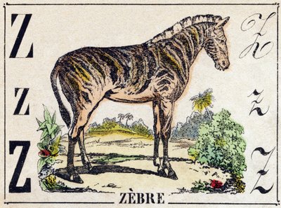Z betű Zebra. Metszet „Vadállatok ábécéjébe”. 9. sorozat. Epinal, Pellerin, nyomdász-kiadó képei, 1870 körül. Metszetek fára, stencilezett. 16 oldal. Mérete: 20 x 15 cm. Magángyűjtemény alkotó: French School