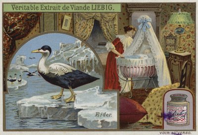 Szép kártya egy pejjal alkotó: French School