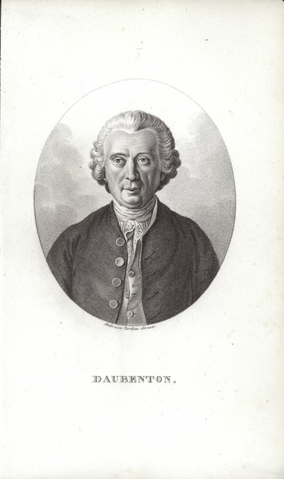 Louis-Jean-Marie Daubenton alkotó: French School