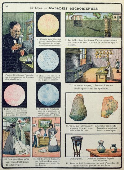 Louis Pasteur (1822-95) és bakteriális betegségek, a Les Sciences Physiques et Naturelles, Párizs, 1908 alkotó: French School
