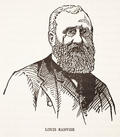 Louis Ranvier alkotó: French School