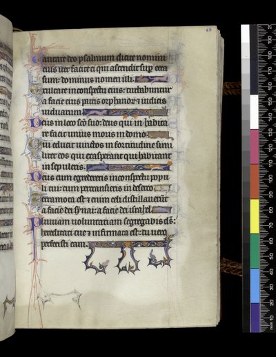 MS 300 f.68r, fólió a francia Izabella zsoltárából és óráiból, Párizs, 1265-70 körül alkotó: French School