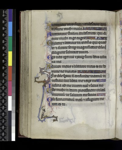 MS 300 f.73v, a francia Izabella zsoltárából és óráiból, Párizs, 1265-70 körül alkotó: French School