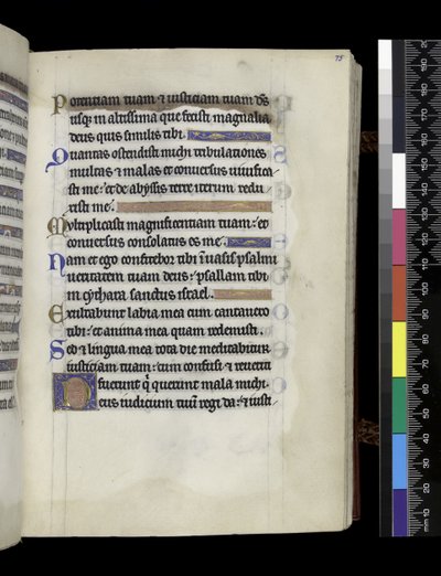 MS 300 f.75r, a francia Izabella zsoltárából és óráiból, Párizs, 1265–1270 körül (toll, tinta és tempera pergamenen) alkotó: French School