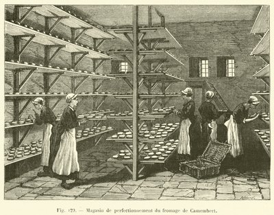 Magasin de perfectionnement du fromage de Camembert (engraving) alkotó: French School