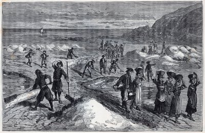Marais salants de Bretagne a 19. században - Alexis Clerc vésése „A tudományok az ösztöndíjakra – fizika és kémia” - 19. század vége - Magángyűjtemény alkotó: French School