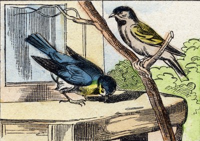 Üzenet. Metszet "Buffon Alphabet des Oiseaux n 1". 3. Serie N 1. Epinal képalkotása, Epinal, 19. század vége. 16 oldal. Mérete: 28x21 cm alkotó: French School