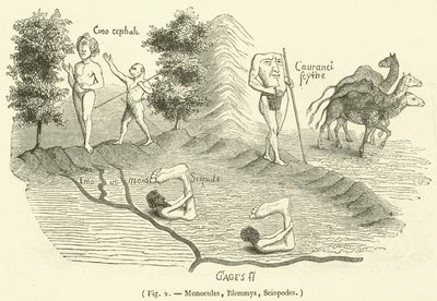 Monocules, Blemmys, Sciopodes (metszet) alkotó: French School
