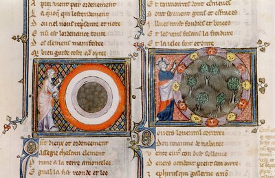 Ms 1044 fol.17v The Creation, az Ovide Moralise-ból, írta Chretien Legouais alkotó: French School