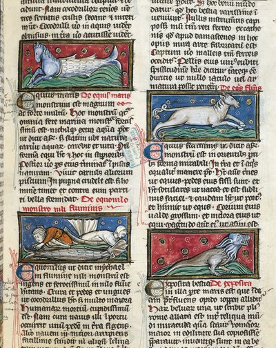 Ms 320 Fol.115r Sea Monsters, Thomas van Cantimpre (1201-72) „De Natura rerum” című művéből (vellum) alkotó: French School