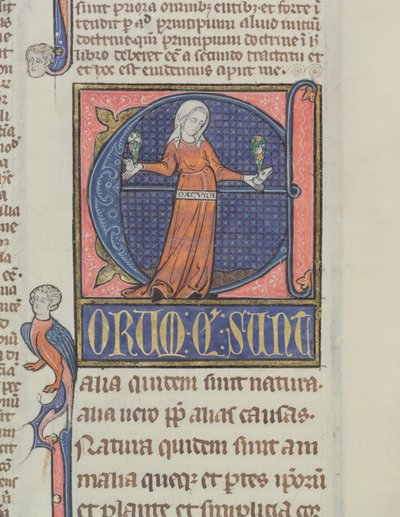 Ms 3469 Történeti kezdetű E a természet ábrázolásával, Arisztotelész (Kr. e. 384-322) fizikájából (toll, tinta és tempera pergamen) alkotó: French School