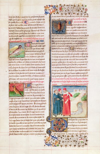 Ms 399 fol. 149 A teknősbéka, a hurka és a denevér tulajdonságai, angol Barthelemy „Livre des Proprietes des Choses” című művéből alkotó: French School