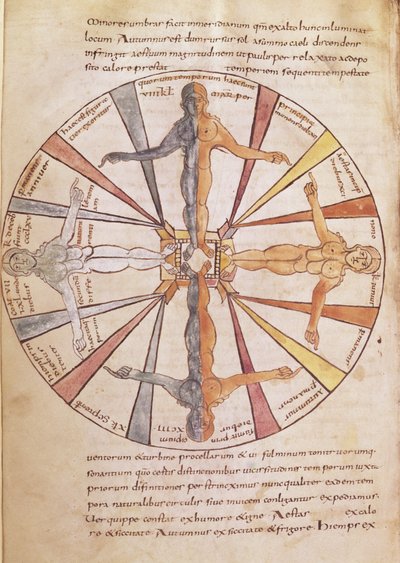 Ms 422 fol.6v Az évszakok és hónapok kereke, a De Natura Rerumból, Sevillai Szent Izidortól alkotó: French School