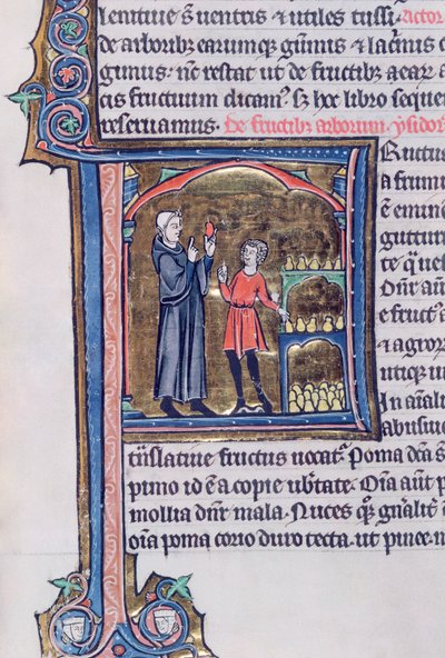 Ms 426 fol.135 A körte tartósításának legjobb módja, a Le Miroir de la Nature, Vincent de Beauvais alkotó: French School