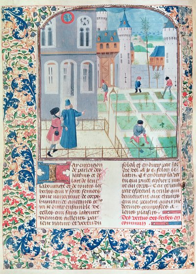 Ms 5064 f.151v The Garden, illusztráció a Le Livre des Prouffitz Champestresből, Pietro de Crescenzi (1230-132021) alkotó: French School
