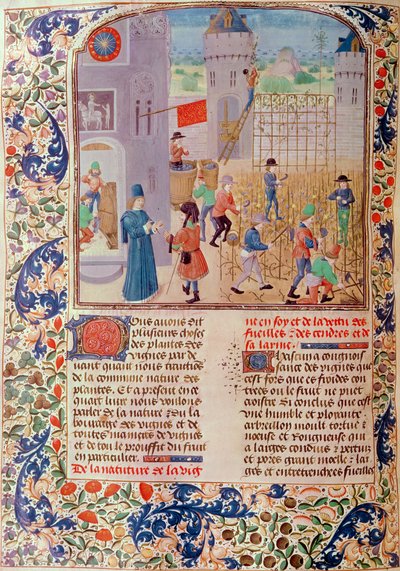 Ms 5064 fol.68v Working in the Vineyard, Livre des Prouffitz Champestres, Pietro de Crescenzi (1230-1321) alkotó: French School