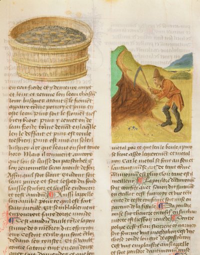 Ms. De Diversis Herbis, Dioscorides, 8r Magok a kádban és a tárnicumók keresése alkotó: French School