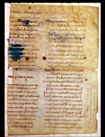 Ms Lat 12832 Fol.A Karoling tulajdonjogok jegyzéke, a Saint-Germain-des-Pres-i Irminon apát poliptichonjából alkotó: French School