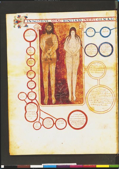 Ms Lat 8878 fol.5v Ádám és Éva és Krisztus genealógiája, Liebanai Beatus (776 körül) asztúriai szerzetes kommentárjából az Apokalipszishez, 1028-72 körül alkotó: French School