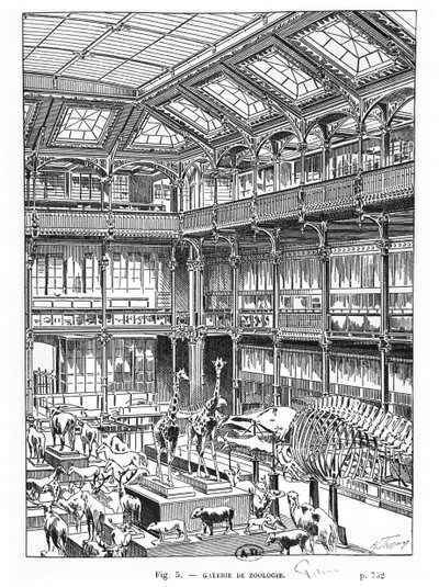 Természettudományi Múzeum Párizsban alkotó: French School