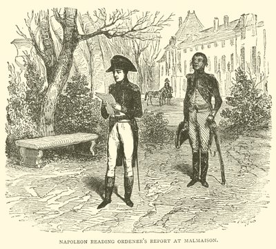 Napóleon rendelési jelentést olvas Malmaisonban (metszet) alkotó: French School