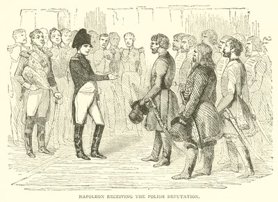 Napóleon átveszi a lengyel küldöttséget (metszet) alkotó: French School