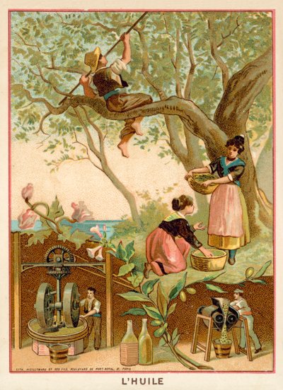 Olivaolaj alkotó: French School
