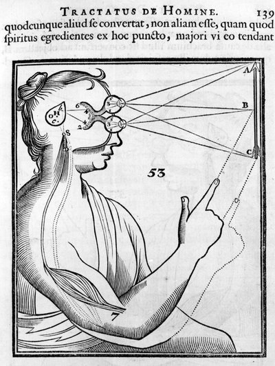 Szemészet: a szem és a látás. Rene Descartes „Tractatus de Homine”-jából alkotó: French School