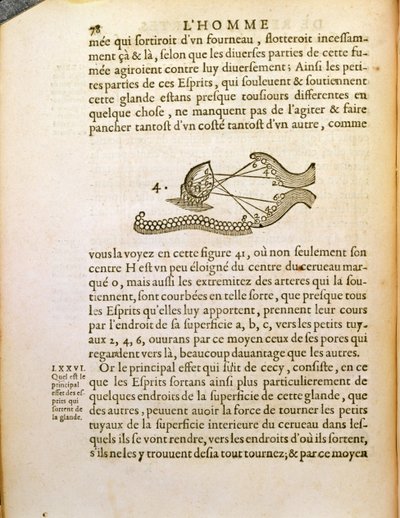 Optikai diagram, Rene Descartes (1596-1650) De Homine Figuris című művéből, Hágában, 1662 alkotó: French School