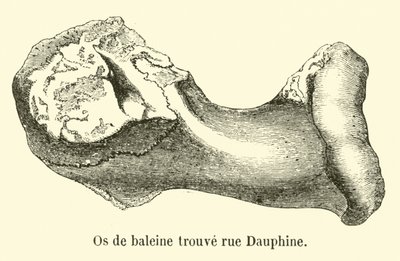 Bálnacsontot találtak a rue Dauphine-ban alkotó: French School
