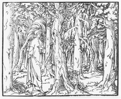 Oldal a "Discourse on the Dream of Poliphile", Francesco Colonna, 1546 alkotó: French School