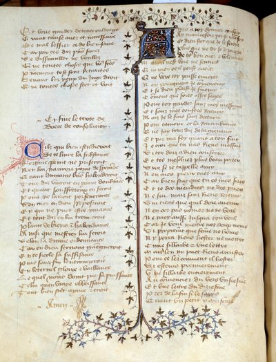 Az oldal Machaut Vilmos (körülbelül 1300-1377) „” Comfort d