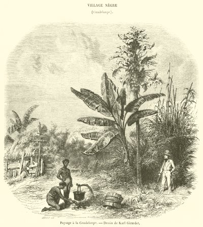 Guadeloupe-i táj (metszet) alkotó: French School