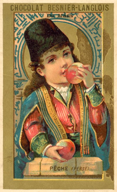 Perzsiából származó őszibarack (chromolitho) alkotó: French School
