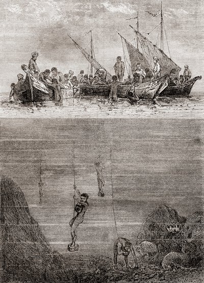 Gyöngybúvárok Ceylon szigetének partjainál a 18. században, a "Les Merveilles de la Science"-ből, 1870 körül megjelent (metszet) alkotó: French School