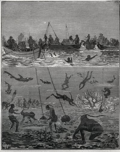 Gyöngybarack Ceylonban (a mai Sri Lanka) a XIX. Metszet 1885-ből Adolphe BITARD „Les arts et metiers illustres” című könyvében. alkotó: French School