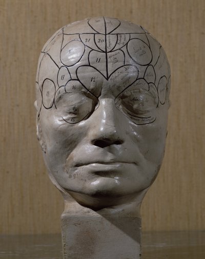 Jean Martin Charcot frenológiai vezetője (kerámia) alkotó: French School
