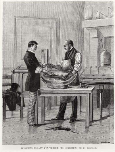 Torpedón kísérletező fizikusok, 19. század 2. fele (metszet) (f/w fotó) alkotó: French School