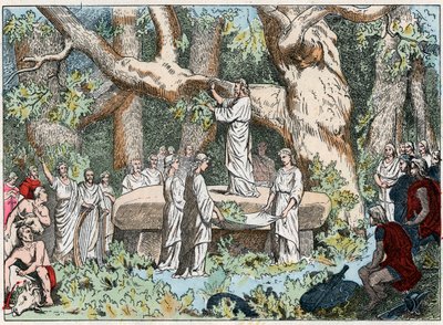 Fagyöngy szedése a druidáktól Galliában, 19. század vége (metszet) alkotó: French School