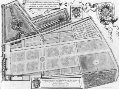 A párizsi királyi gyógynövénykert terve, 1641 alkotó: French School