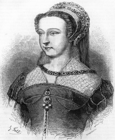 Anne d