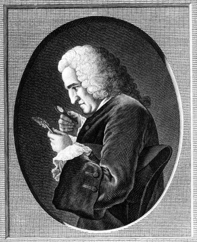 Bernard de Jussieu portréja (1699-1777) alkotó: French School