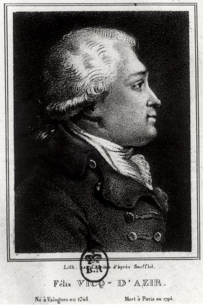 Felix Vicq dAzyr (1748-94) portréja alkotó: French School