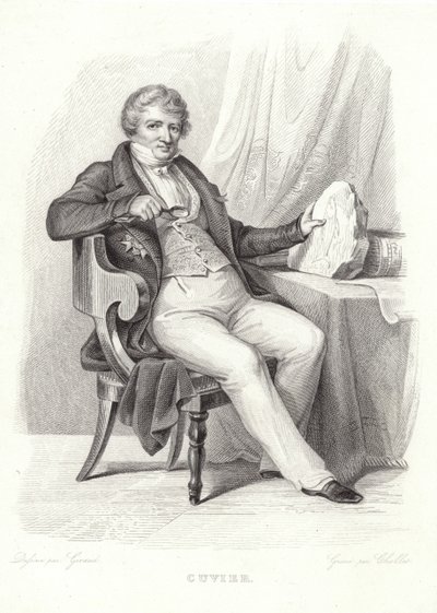 George Cuvier portréja alkotó: French School