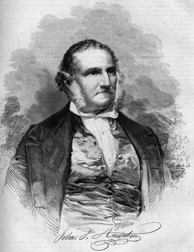 John James Audubon (1780-1851) amerikai ornitológus portréja. Metszet a „Le Magasin festői”-ben alkotó: French School