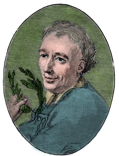 Laurence Eusden (1688-1730) angol költő portréja. alkotó: French School