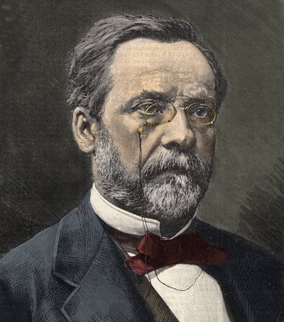 Louis Pasteur (1822-1895) angol kémikus és mikrobiológus portréja alkotó: French School