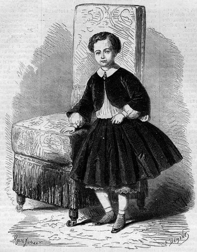 Napóleon Eugene Louis Jean Joseph Bonaparte (1856-1879) portréja, aki császári hercegként ismert, III. Napóleon fia. Metszet a „” Le Monde Illustré”” 137. számában, november 26 alkotó: French School