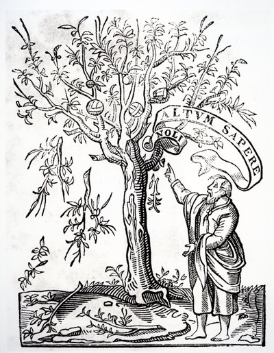 Robert Estienne nyomdász emblémája, Párizs, 1526 alkotó: French School